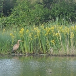 Test 2